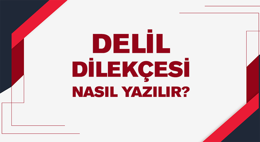 delil dilekçesi
