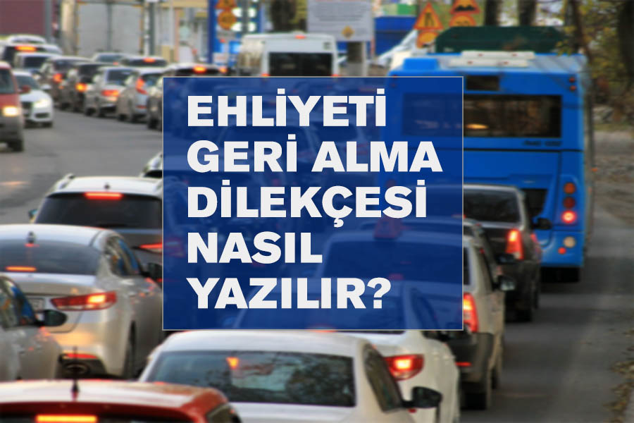 Ehliyeti geri alma dilekçesi