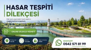 Hasar Tespiti: Profesyonel Destek Hasar Tespiti