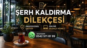 Şerh Kaldırma: Profesyonel Destek Şerh Kaldırma