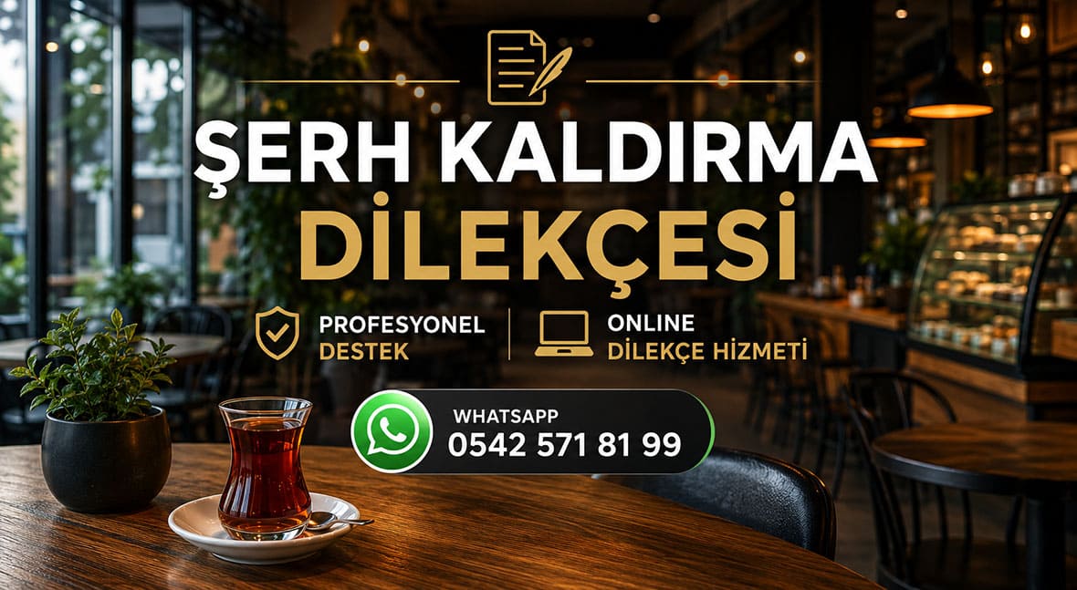Şerh Kaldırma