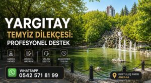 Yargıtay Temyiz Dilekçesi: Profesyonel Destek Temyiz Dilekçesi